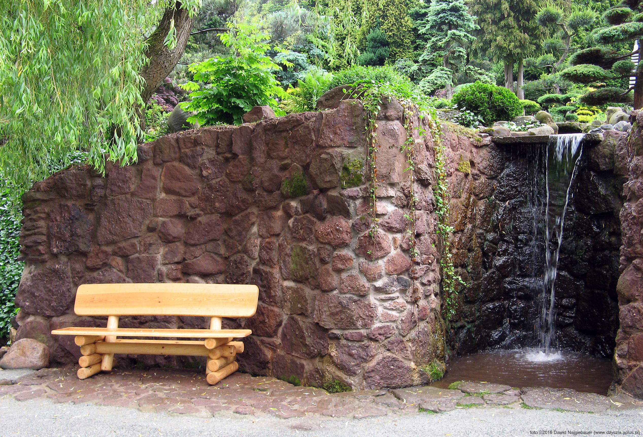 Ogród Japoński w Jarkowie - miejsce relaksu