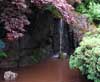 Ogród Japoński w Jarkowie - wodospad
